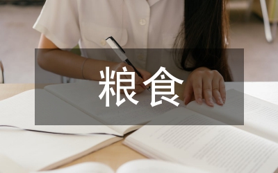 糧食系統(tǒng)防火工作方案