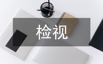 領(lǐng)導班子和民主生活會檢視工作方案