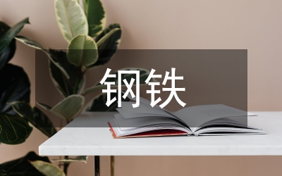 鋼鐵工業(yè)發(fā)展論文
