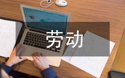 勞動實踐風(fēng)險預(yù)案