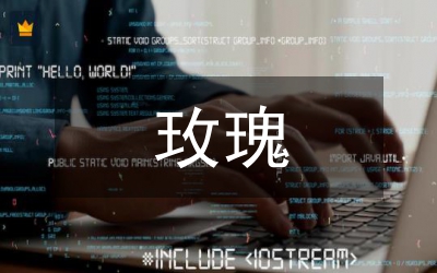 新玫瑰寓意支數(shù)