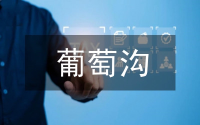 保護地葡萄種植論文