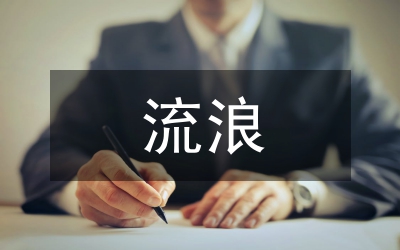 淺談流浪兒童調(diào)研報告論文