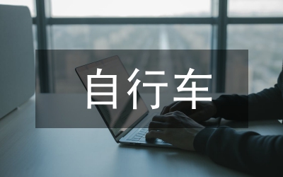 個(gè)人所得稅自行納稅申報(bào)研究論文