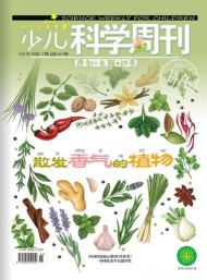 少兒科學(xué)周刊雜志