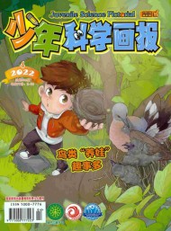 少年科學(xué)畫報雜志