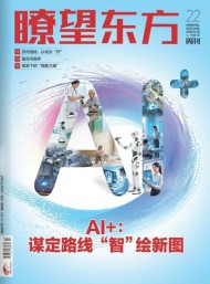 瞭望東方周刊雜志