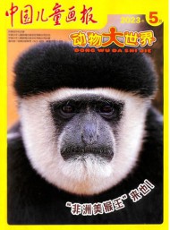 中國(guó)兒童畫(huà)報(bào)雜志