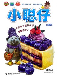 小聰仔嬰兒版雜志